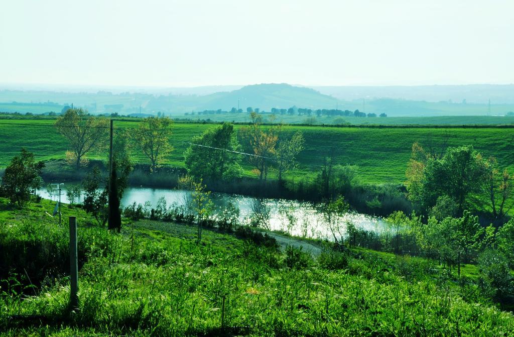 منزل الضيف مانشانو  في Montecristo Country House المظهر الخارجي الصورة