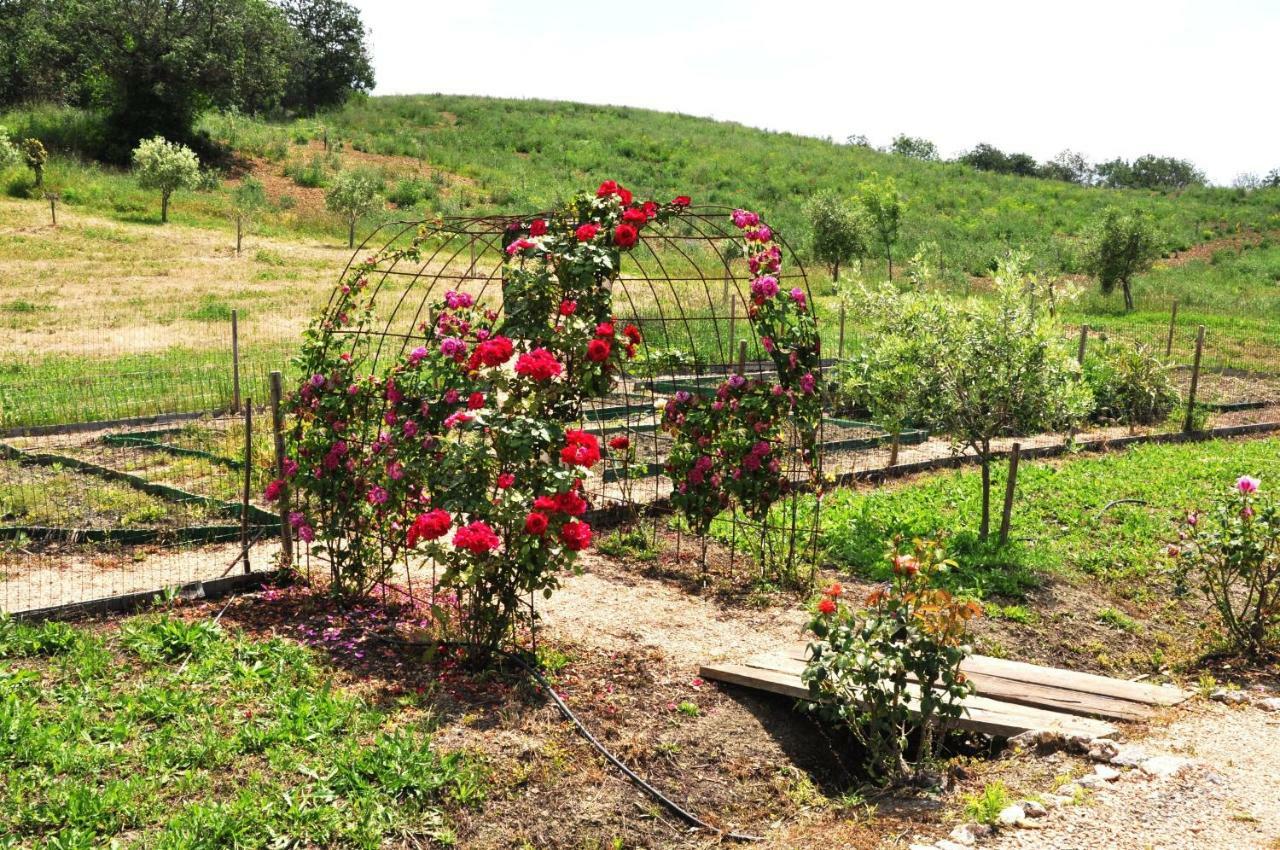 مانشانو Montecristo Country House المظهر الخارجي الصورة