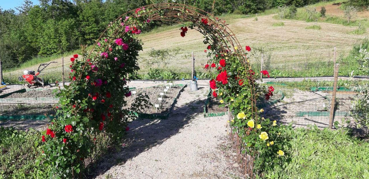 مانشانو Montecristo Country House المظهر الخارجي الصورة